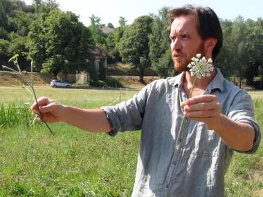 Trésors de l’automne : les plantes automnales en bords de Loire