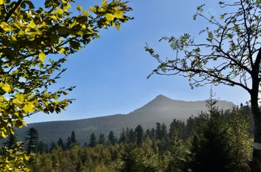 Le Tour des Volcans du Velay à pied