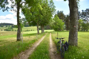 Le chemin de Saint-Régis à vélo