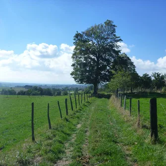 Chemins de Compostelle : Lyon – Le Puy en Velay