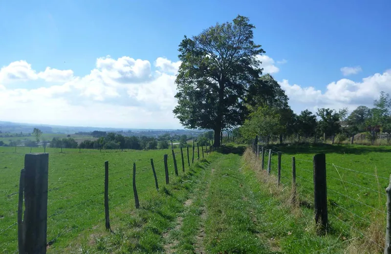 Chemins de Compostelle : Lyon – Le Puy en Velay