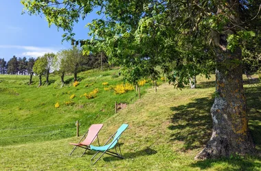 Gîte “La Vallée des biches”