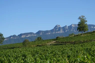 Compostelle à vélo : Genève – Le Puy