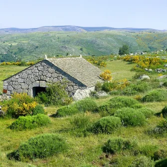 Le Chemin de Stevenson à pied : Du Puy-en-Velay à Saint-Jean-du-Gard