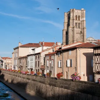 Saint-Jacques à pied : De Montbrison au Puy-en-Velay