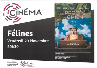 Séance de cinéma : « Le procès du chien »