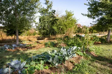 Le jardin de permaculture, Château de la Borie_4