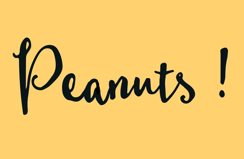 Ateliers Peanuts