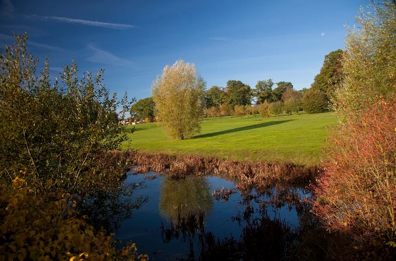 Parc des Essarts