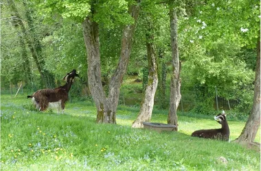 Parc de l’Aurence