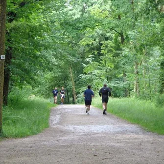 Bois de la Bastide