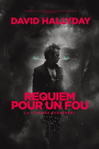 David Hallyday, requiem pour un fou – Limoges