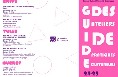 Ateliers de pratiques culturelles: orchestre universitaire – Limoges