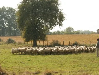 La Ferme des Palennes