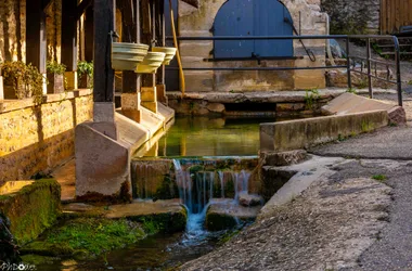 STAGE photos au coeur du Pouilly-Fuissé : Couleurs et lumières automnales en Mâconnais