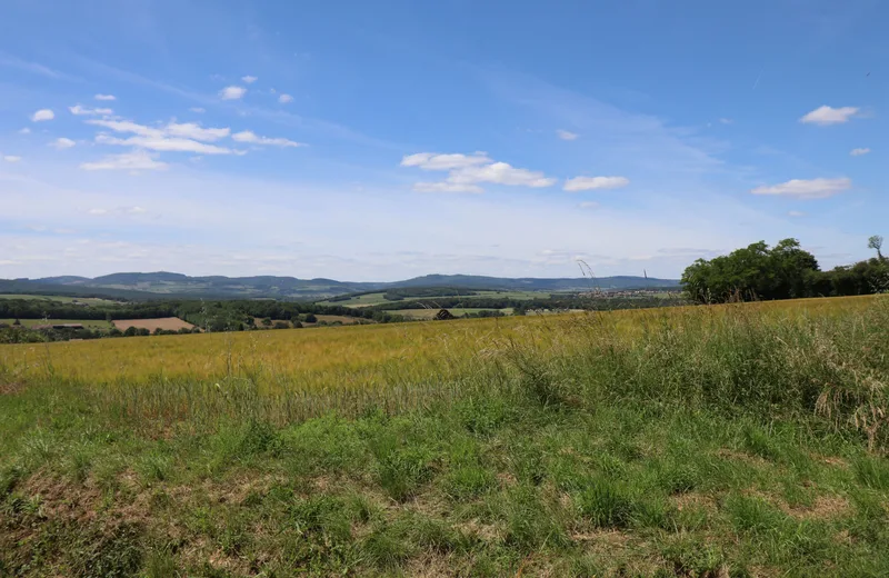 Les bois de Charbonnières