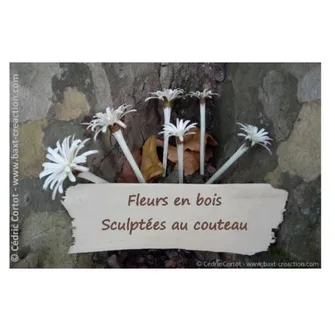 Escapades nature :  Atelier fabrication de fleurs en bois  par Cédric Cortot