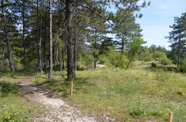 Des carrières de la Lie à la Solitude – La Roche-Vineuse