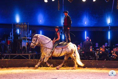 EQUUS 7ème édition – Chevaux & Orchestre