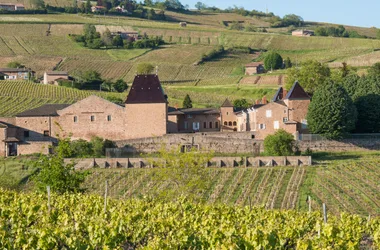 Carnet de Route – Châteaux en Beaujolais