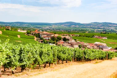 Fuissé, une passion des hommes pour la vigne