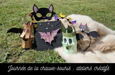 Journée et Nuit de la chauve-souris