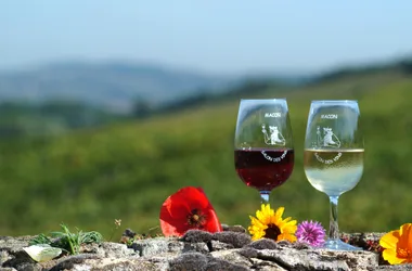 Vin blancrouge ©Jean-Pierre Eschmann (3)