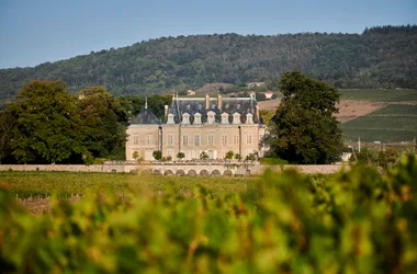 Château de Nervers - Vignes et Château