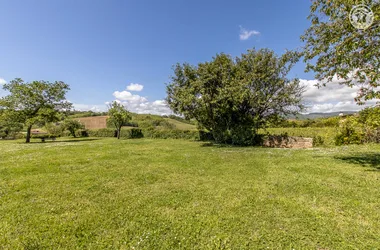 Au coeur du vignoble