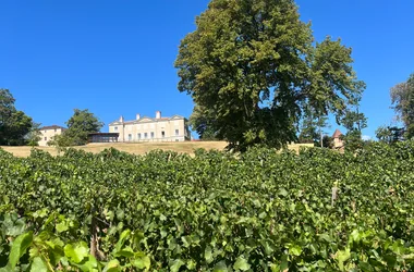 Château de Lachassagne - Château & vignes