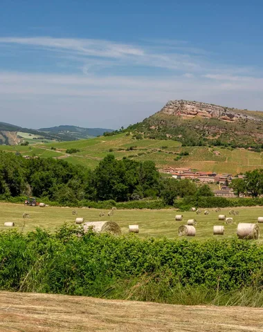 Des vignobles au Val Lamartinien – De Mâcon à Bourgvilain