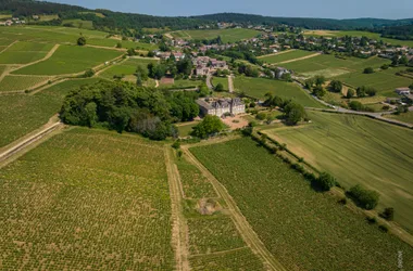 Des carrières de la Lie à la Solitude – La Roche-Vineuse