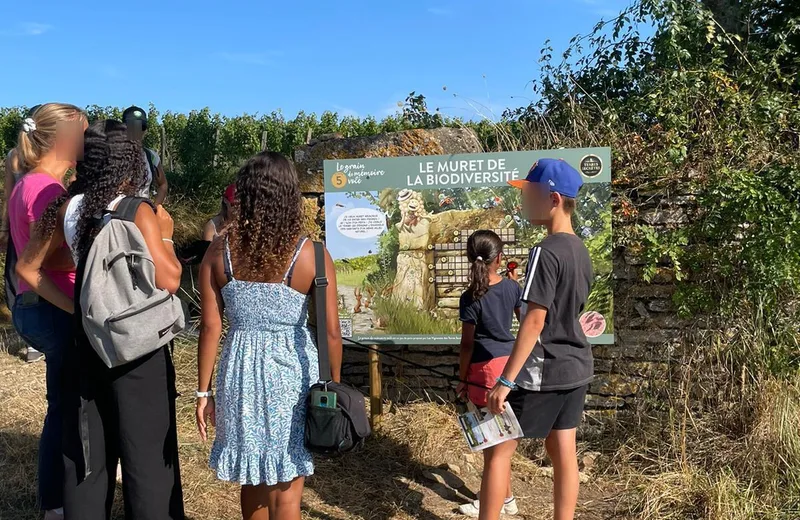 Jeu de piste “Le grain de mémoire volé”