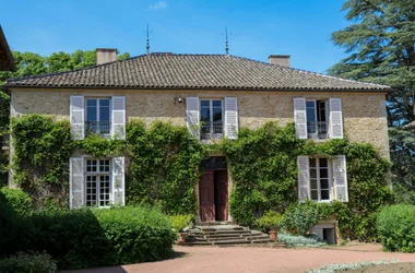 Des vignobles au Val Lamartinien – De Mâcon à Bourgvilain