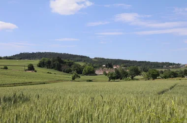 Des carrières de la Lie à la Solitude – Prissé