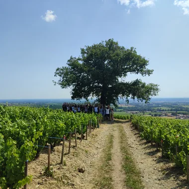 Balade Bonne Humeur sur la Côte du Py