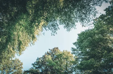 Fête de la biodiversité