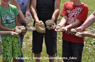 Escapades nature : “L’aventure fossiles”