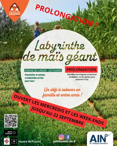 Prolongation du labyrinthe de maïs !