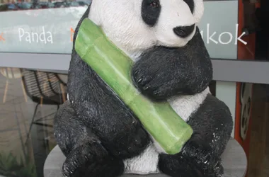 Panda accueil