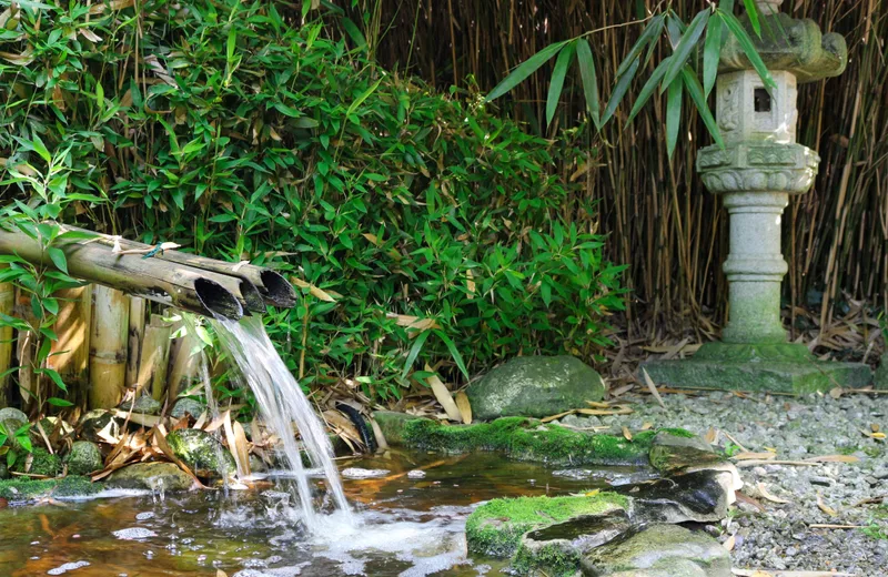 Les Jardins Aquatiques