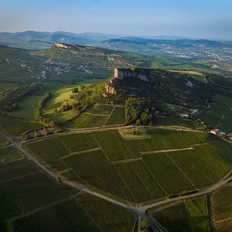 La Route des Vins