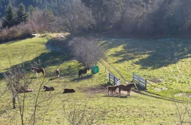 Meublé de Tourisme – Passemard Maryse