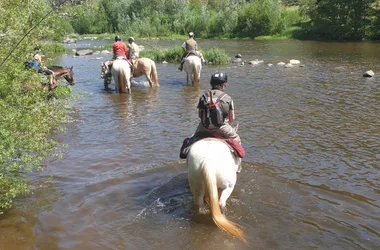 Excursiones de pesca/paseos a caballo.