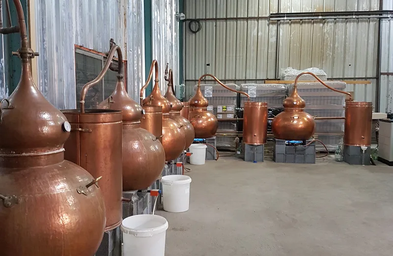 distillerie des Bughes