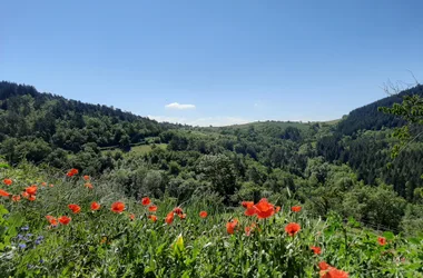 Meublé de Tourisme – Coste Gilles – meublé 5 à 6 pers.