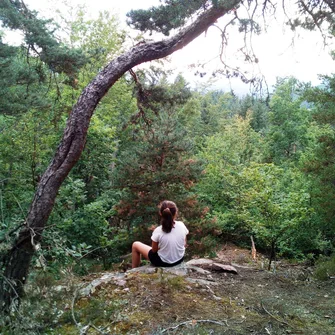 Eco-tours  “Balade : Les bienfaits de la forêt”