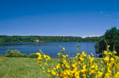 Bouchet lake