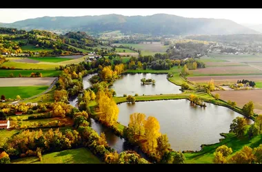Les étangs du bord de Loire