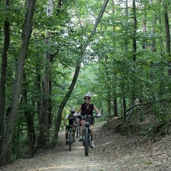 Le tour au Galop